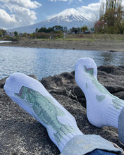 画像をギャラリービューアに読み込む, BigOne Socks Ⅱ