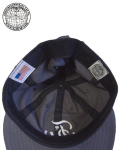 TW Ball Cap